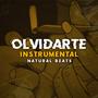 Olvidarte (Instrumental)