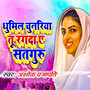 Dhumil Chunariya Tu Rangda Ye Satguru