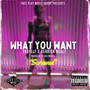 What You Want (Screwed) [Explicit]