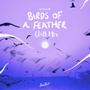 BIRDS OF A FEATHER (Chill Mix)