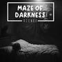 Maze of Darkness (feat. Keybeaux)