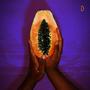 PAPAYA (feat. Malaika Mfalme)