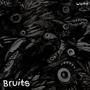 Bruit