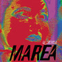 Marea