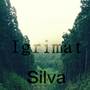 Silva (Original Mix)