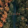 Fitoor (cover)