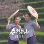 春到茶山阿美美