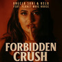 Forbidden Crush (Radio Edit)