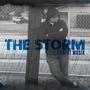 The Storm (feat. Legion Beats)