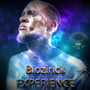 Experience