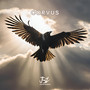 Corvus