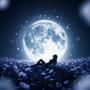 Dream more