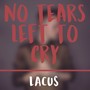 No Tears Left to Cry