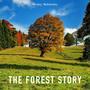 The Forest Story