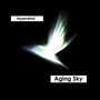 Aging Sky