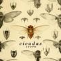 Cicadas