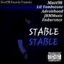 Stable (feat. Lil Tombstone, Adroithood, JRMMUSIC & Endurxnce) [Explicit]