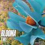 Blooma