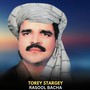 Torey Stargey