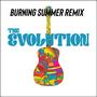 Burning Summer (Remix)