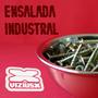 ENSALADA INDUSTRIAL