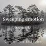 Sweeping emotion (feat. Emil Fahlén) [Acoustic]