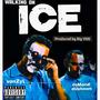 Walking On Ice (feat. Demond Dushawn) [Explicit]