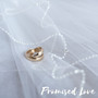 Promised Love