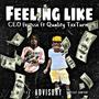 Feeling Like (feat. Ce0 Finesse) [Explicit]