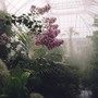 Greenhouse Manual