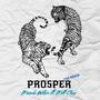 Prosper Remix (feat. Matt Cleev) [Explicit]