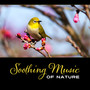 Soothing Music of Nature