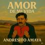 Amor de mi vida (feat. Andresito Amaya)