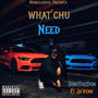 What'chu Need (feat. Ja’ryan) [Explicit]