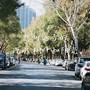 想听远方的汽水、树叶和阳光