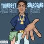 SHARCGANG STIKCY vol.1 (Explicit)