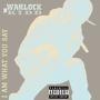 I Am What You Say - Single (Explicit)