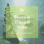 Binaural Tranquil Sleep