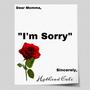 I'm Sorry (Explicit)