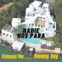 Nadie nos para (feat. Ronny Jay) [Explicit]