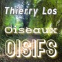 OISEAUX OISIFS