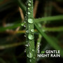 2 Hours of Gentle Night Rain: Relaxing Sounds for Insomnia, Meditation, Study, Spa & Yoga