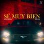 Se Muy Bien (feat. Elivaan Vega)