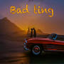 Bad Tin (feat. DJ Shevo & King P) [Explicit]