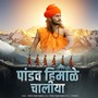 Pandav Himalay Chaliya