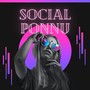 Social Ponnu