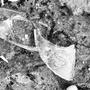 Broken Glass (feat. Gary Nichols)