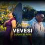 Lelava Vevesi