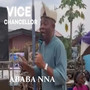 Vice chancellor