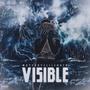 Visible (Explicit)